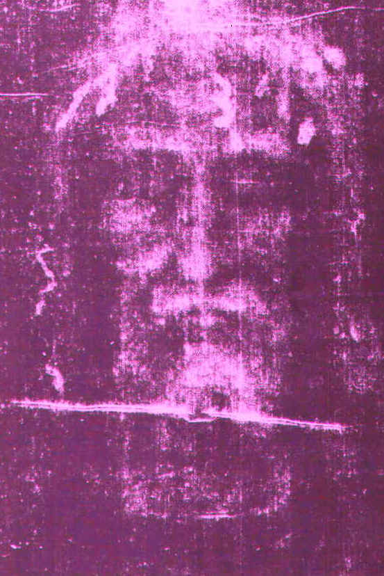 wpeE.jpg (87801 bytes)